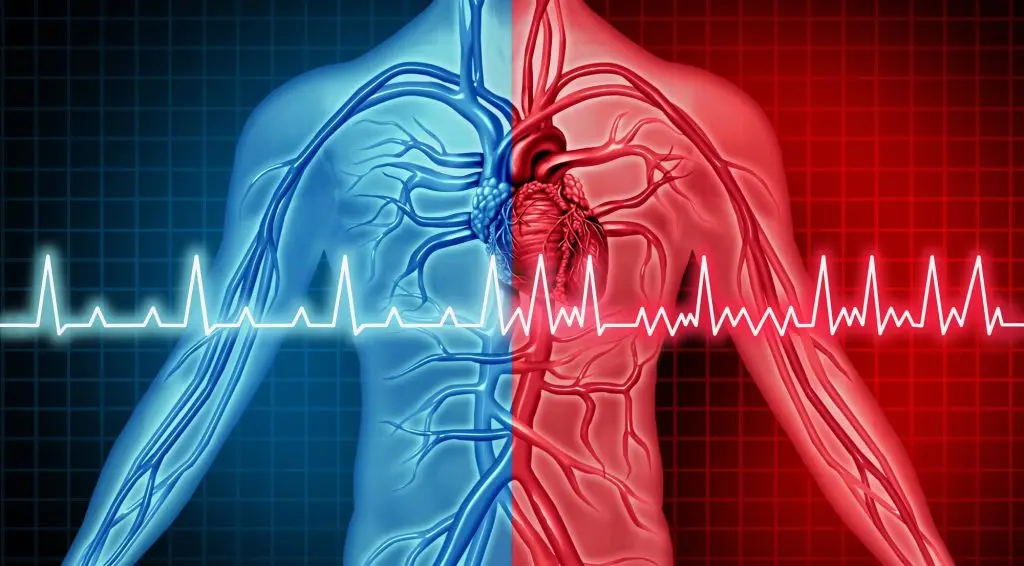 Nigerian Journal of Cardiology